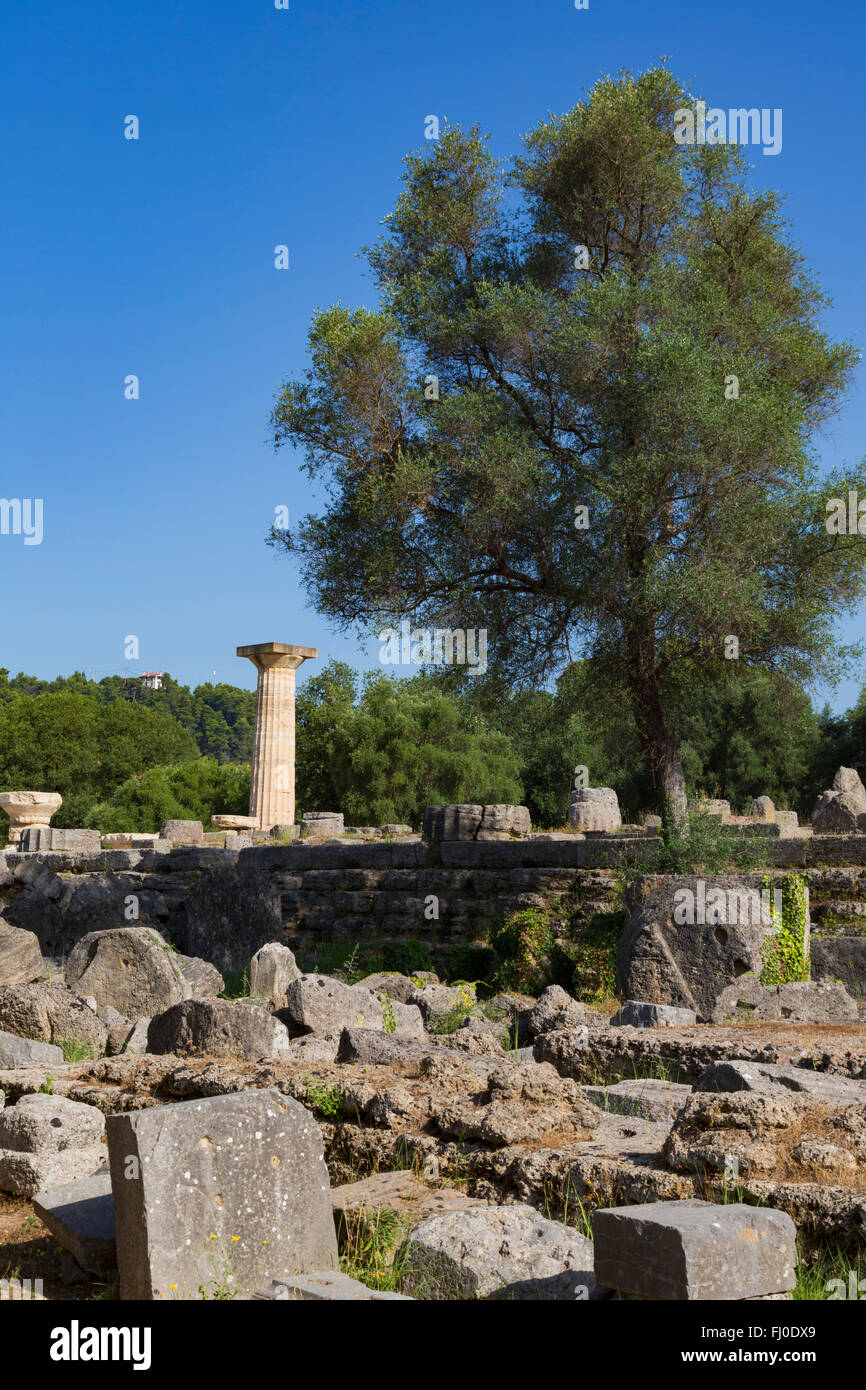 Olympia, Peloponnese, Greece.  Ancient Olympia.  Ruins of the 5th century BC Doric order Temple of Zeus. Stock Photo