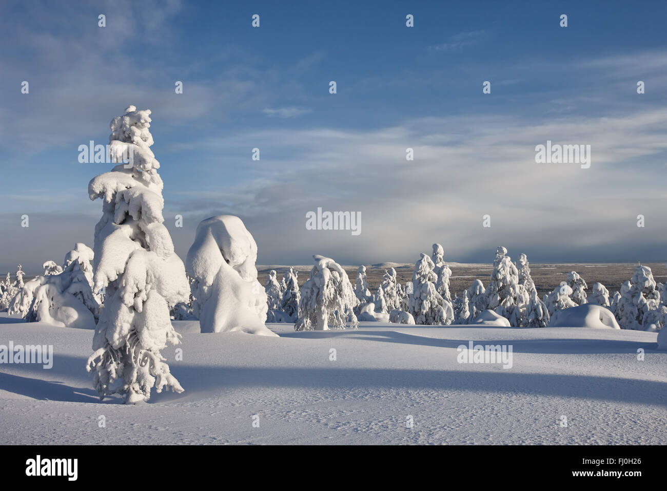 Sunny winter landscape in Lapland Stock Photo