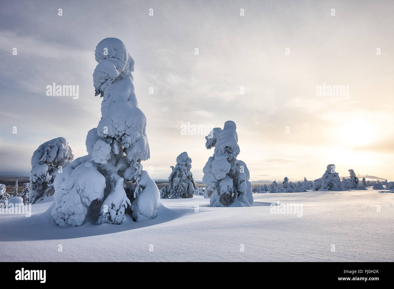 Sunny winter landscape in Lapland Stock Photo