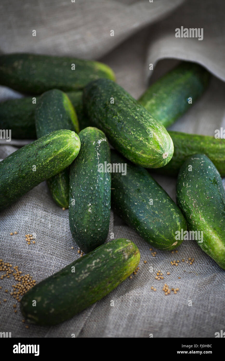 Cucumbers as an ingredient for pickles Stock Photo
