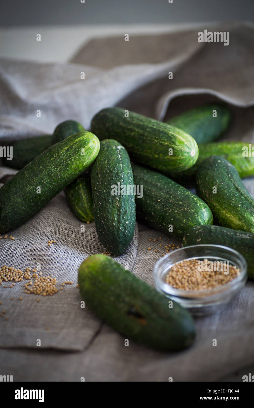 Cucumbers and mustard seed as an ingredient for pickles Stock Photo