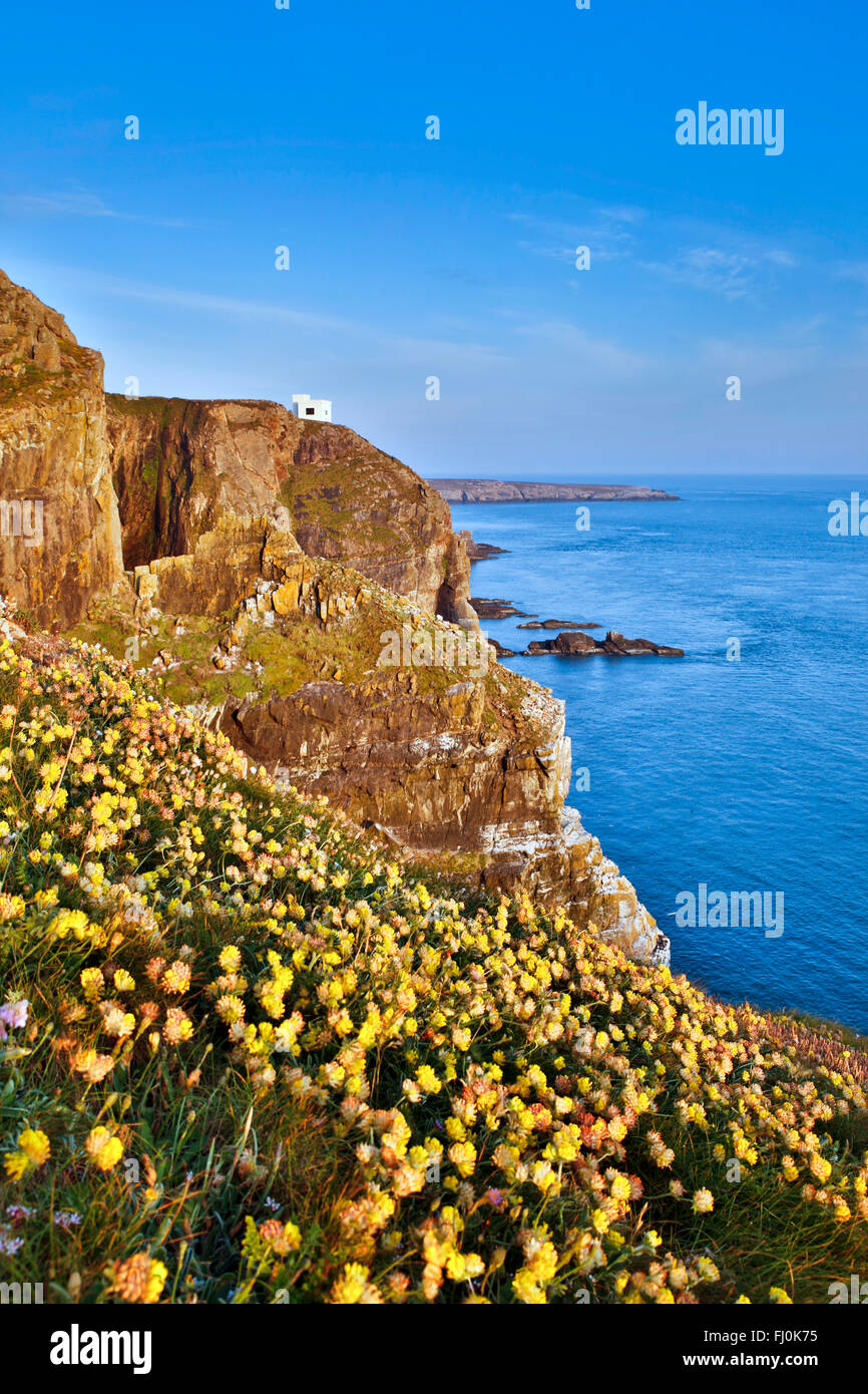 South Stack; Anglesey; Wales; UK Stock Photo