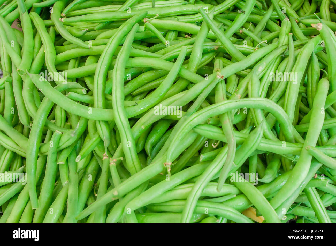 Farmers Market long green beans at a local farm stand / farmer's