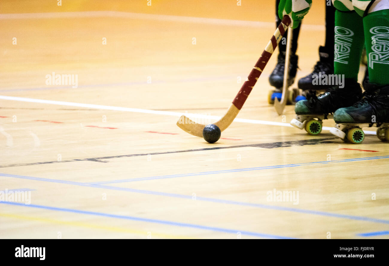Gijon, Spain. 27th February, 2016. The ball during the roller hockey match of Spanish Women's OK