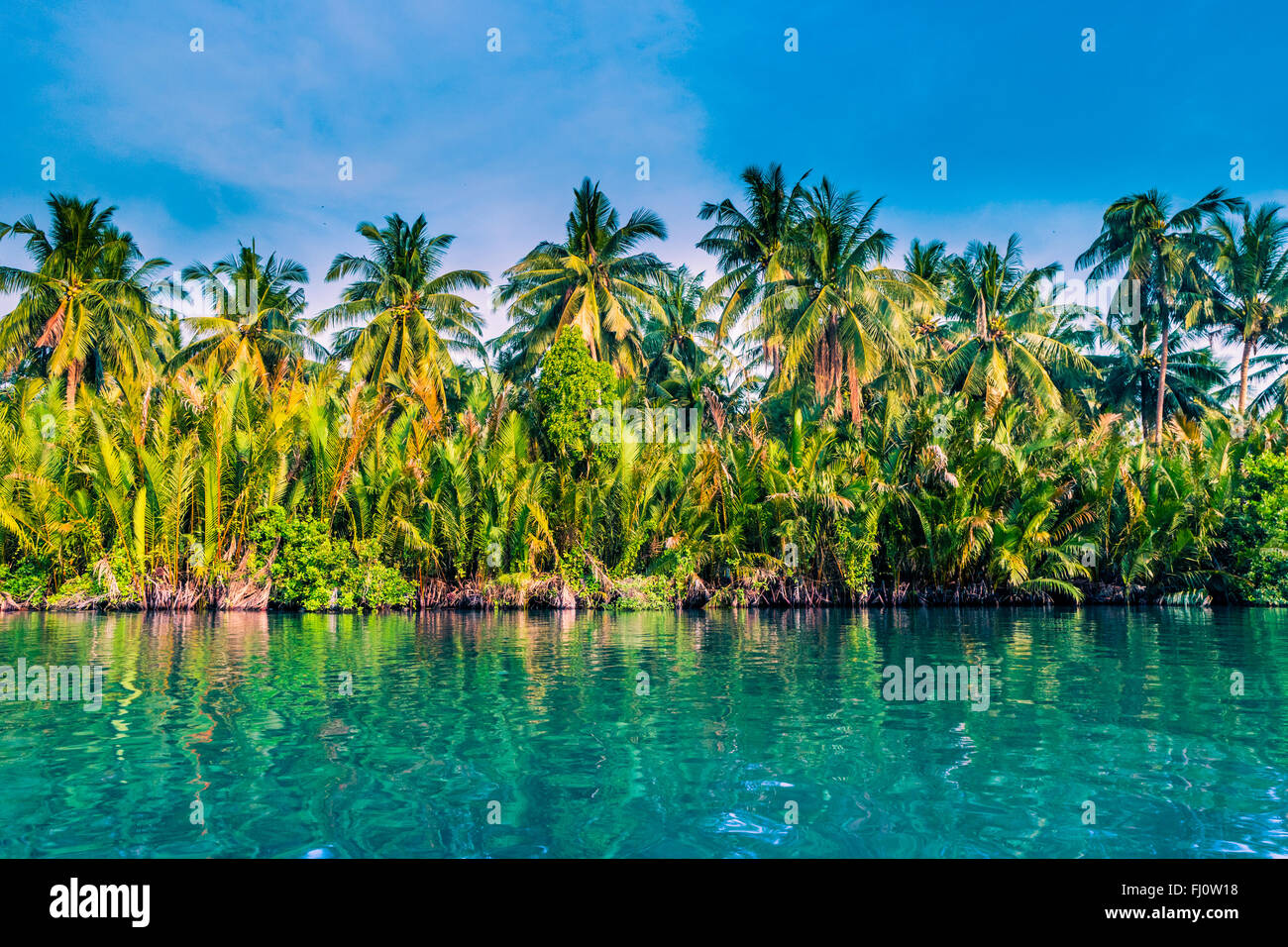 Palm trees on sea shore at beautiful sunny day Stock Photo - Alamy
