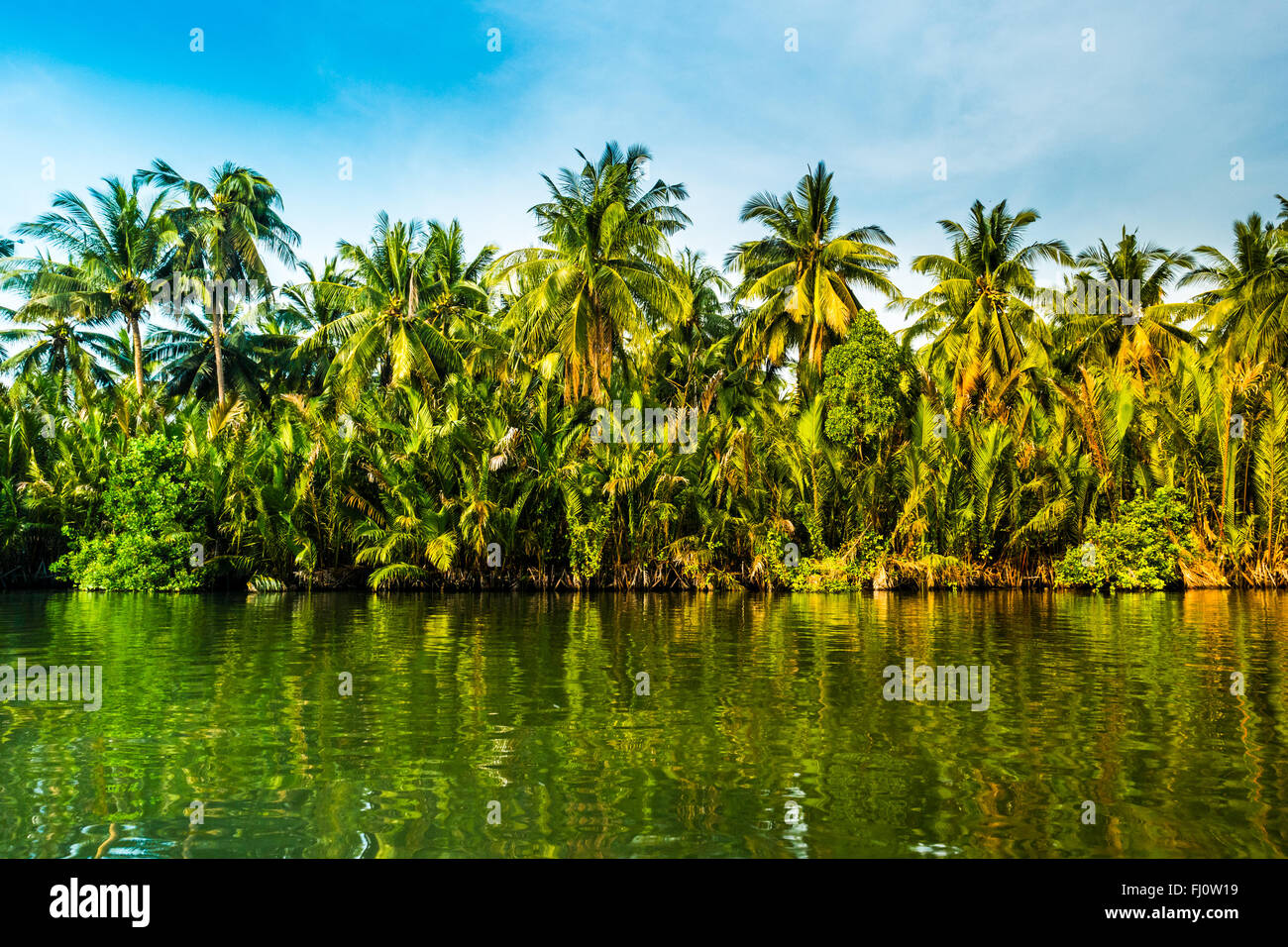 Palm trees on sea shore at beautiful sunny day Stock Photo - Alamy