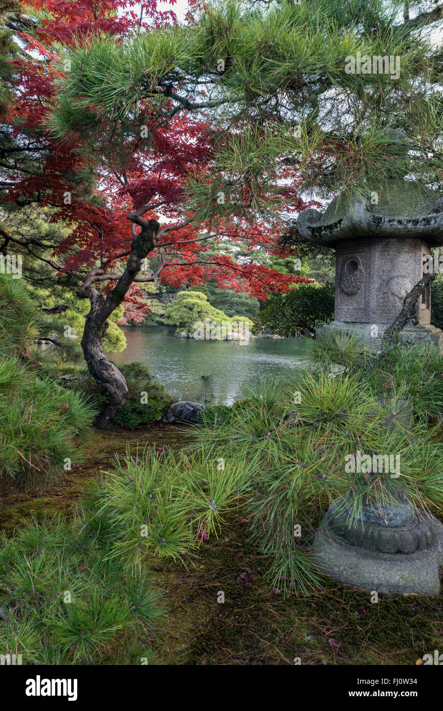 Red maple, Japanese lantern and pond, vertical, Oikeniwa garden, Kyoto Imperial Palace, Kyoto, Japan Stock Photo