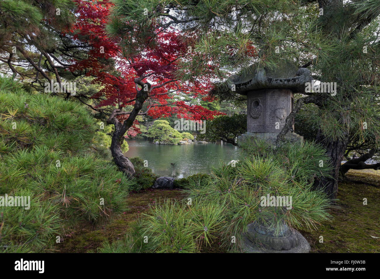 Red maple, Japanese lantern and pond, Oikeniwa garden, Kyoto Imperial Palace, Kyoto, Japan Stock Photo