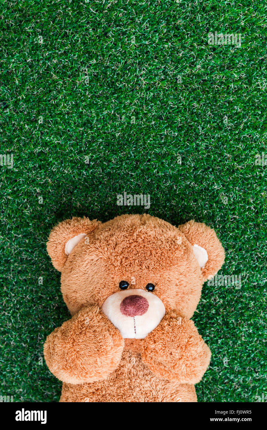 Cute teddy bear on green grass background Stock Photo - Alamy