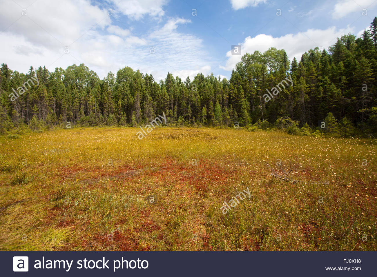 Kettle Hole Lake Stock Photos & Kettle Hole Lake Stock Images Alamy