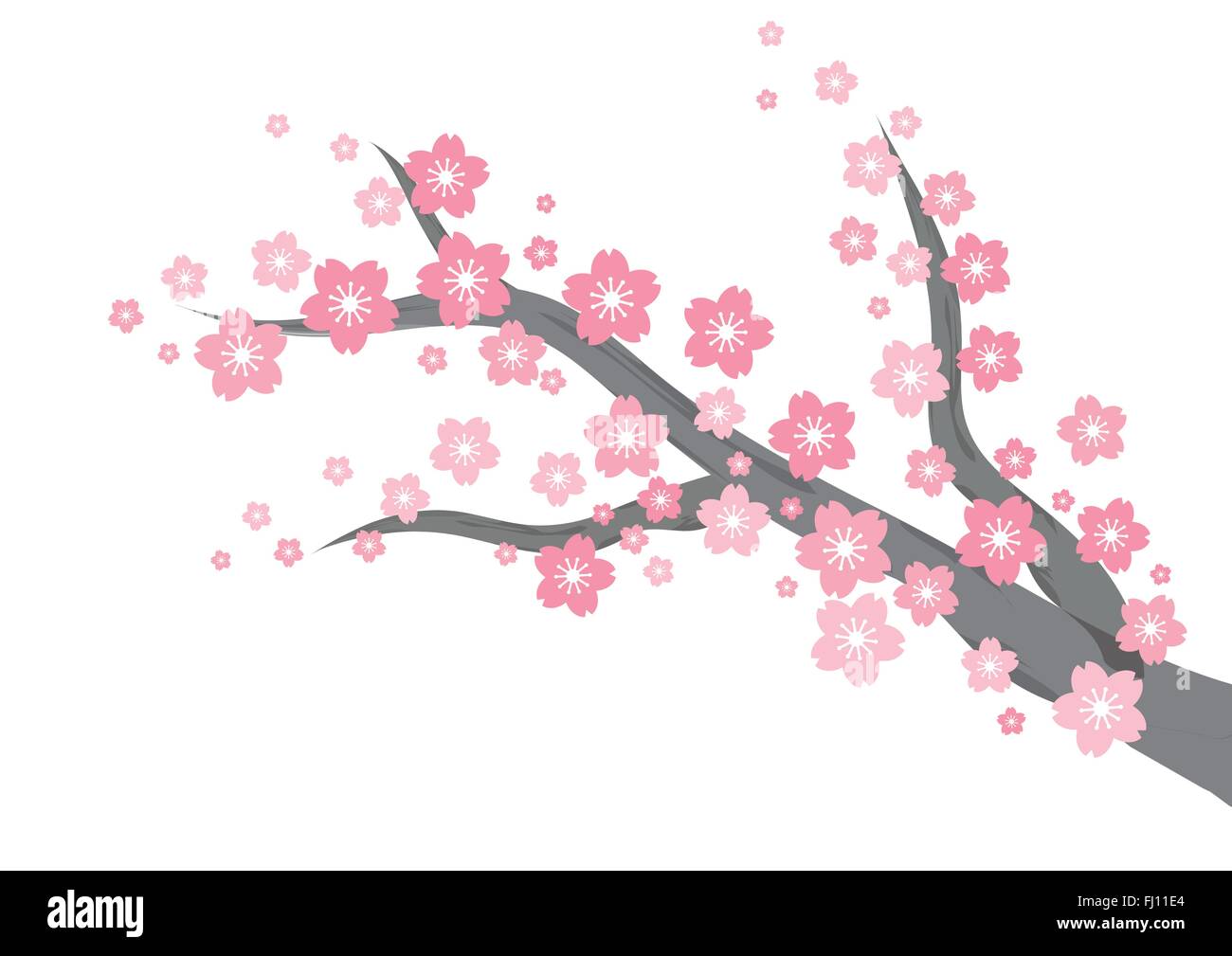 Pink white cherry blossom Stock Vector Images - Alamy