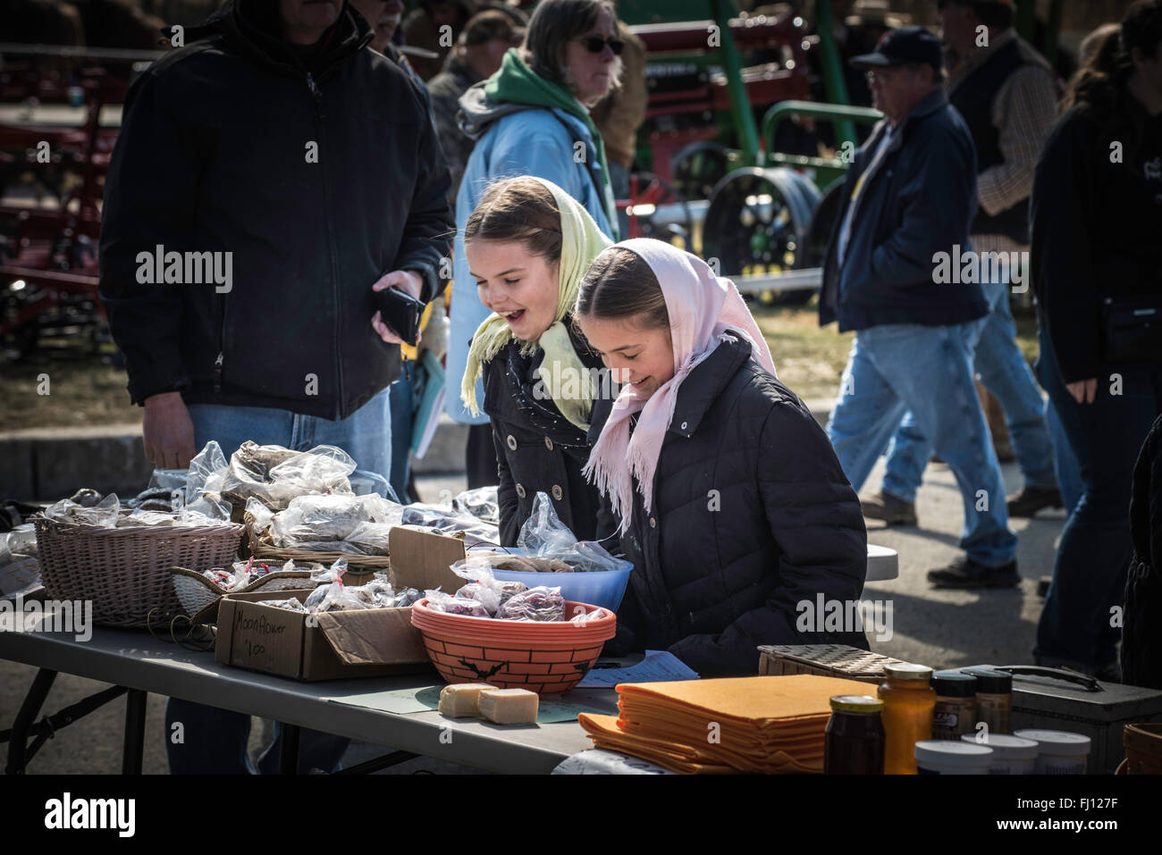 Lancaster, Pennsylvania, US. 27th Feb, 2016. Amish Mud Sale, held every spring in Lancaster, PA