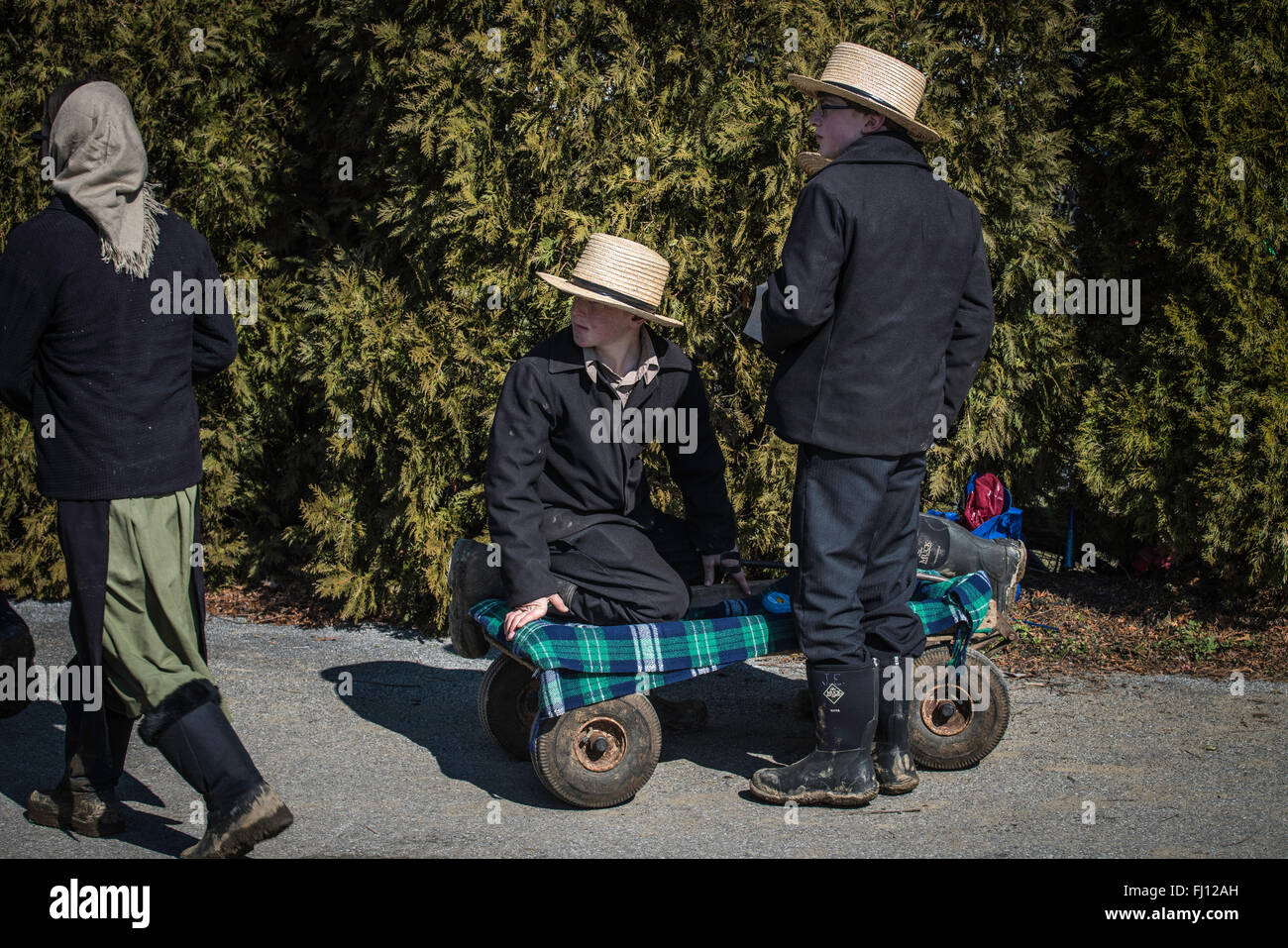Lancaster, Pennsylvania, US. 27th Feb, 2016. Amish Mud Sale, held every