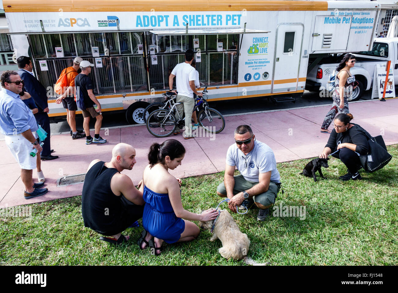 Miami Beach Florida,mobile adopt animal shelter pet,trailer,adopting,adult,adults,man men male,woman female women,couple,looking,ASPCA,dog,dogs,FL1601 Stock Photo