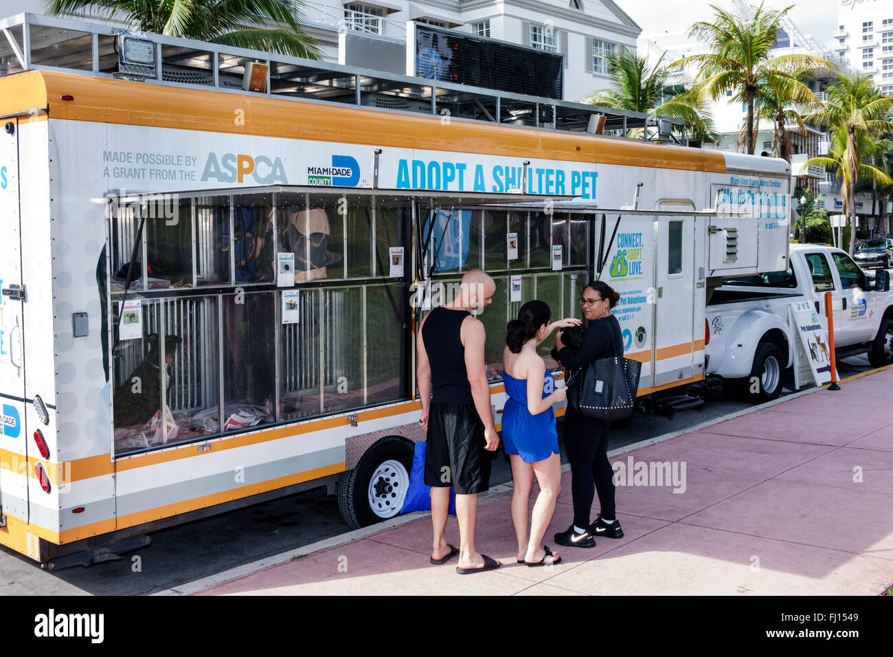 Miami Beach Florida,mobile adopt animal shelter pet,trailer,adopting,adult,adults,man men male,woman female women,couple,looking,ASPCA,dog,dogs,FL1601 Stock Photo