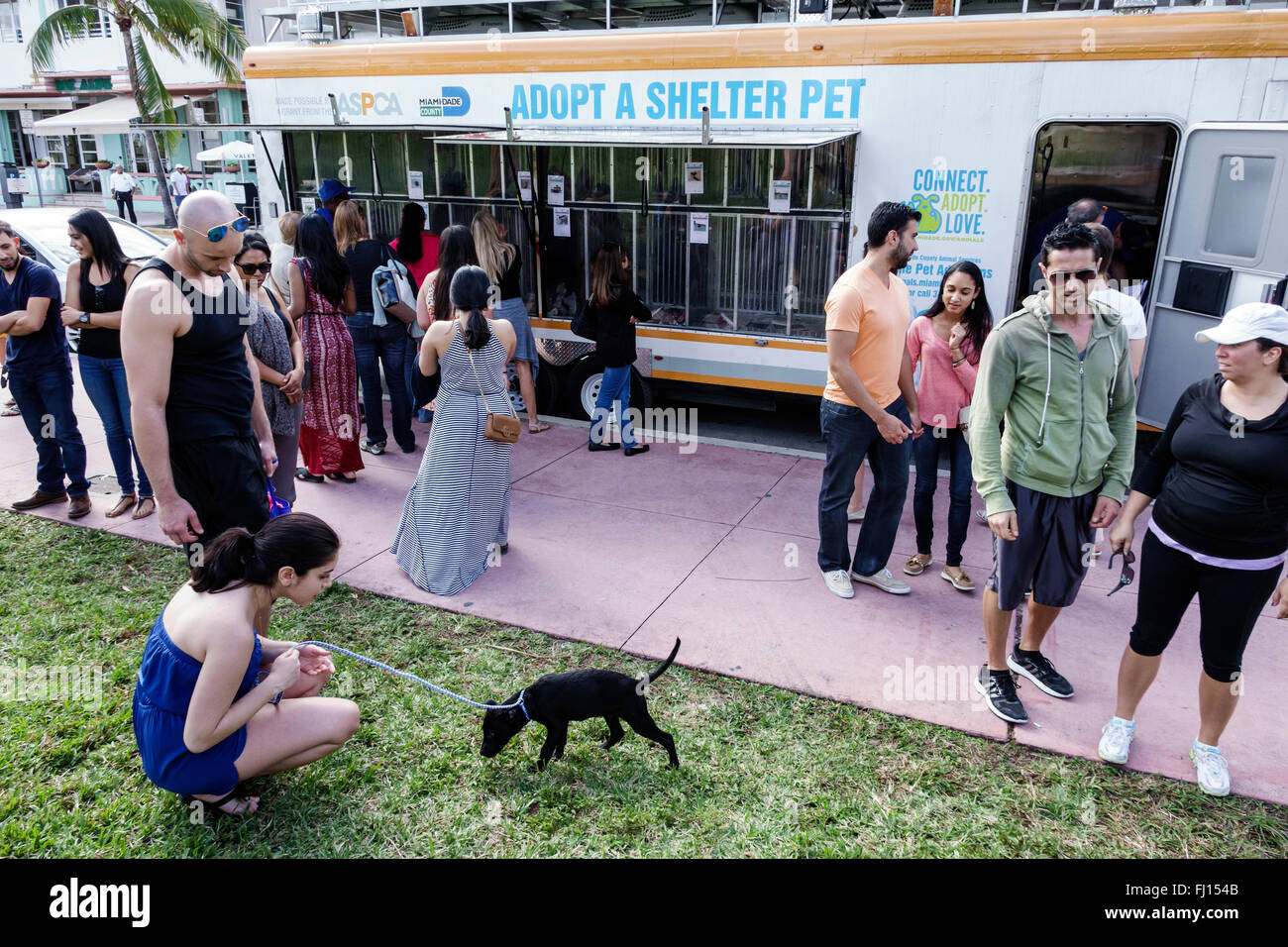 Florida,South,FL,Miami Beach,mobile adopt animal shelter pet pets,trailer,adopting,adult,adults,man men male,woman women female lady,couple,looking wa Stock Photo - Alamy Florida,South,FL,Miami Beach,mobile adopt animal shelter pet pets,trailer,adopting,adult,adults,man men male,woman women female lady,couple,looking wa Stock Photo - Alamy