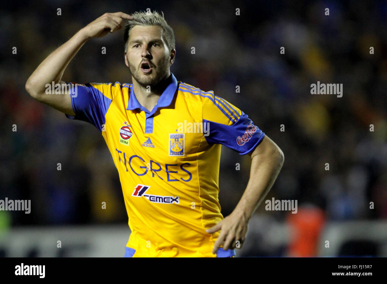 Nuevo Leon, Mexico. 27th Feb, 2016. Tigres' Andre-Pierre Gignac celebrates after scoring during the match of Day 8 of 2016 Closing Tourmament of MX League against America in San Nicolas de los Garza, Mexico, on Feb. 27, 2016. Credit:  Str/Xinhua/Alamy Live News Stock Photo