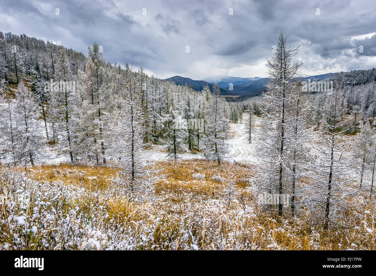 View of first snow on mountain pass Stock Photo - Alamy