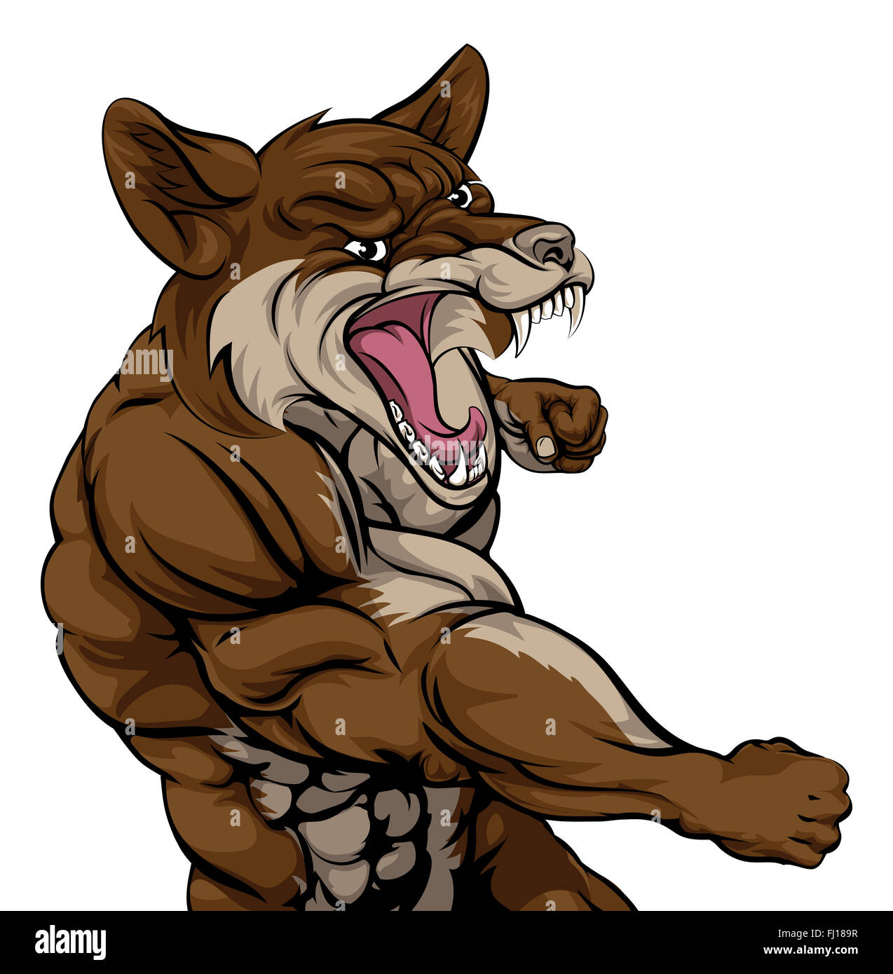 An illustration of a coyote animal sports mascot cartoon character fighting Stock Photo - Alamy An illustration of a coyote animal sports mascot cartoon character fighting Stock Photo - Alamy