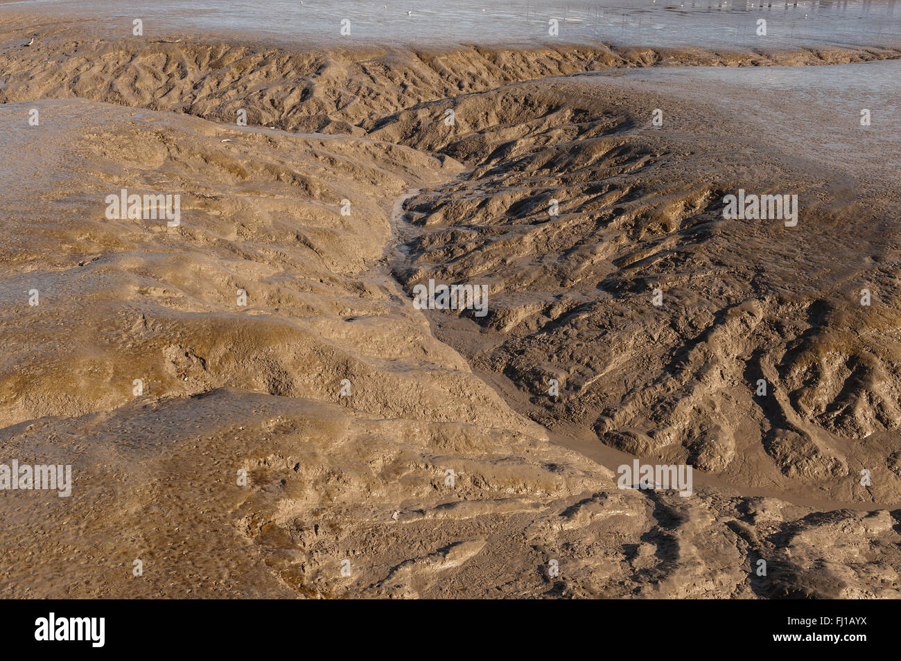 deep cut meandering water channels cut by streams at low tide through ...