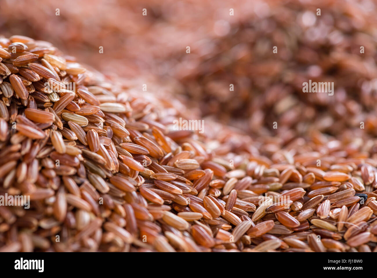 Partially Red Rice Portion of red Rice as detailed close-up shot for use as background ...