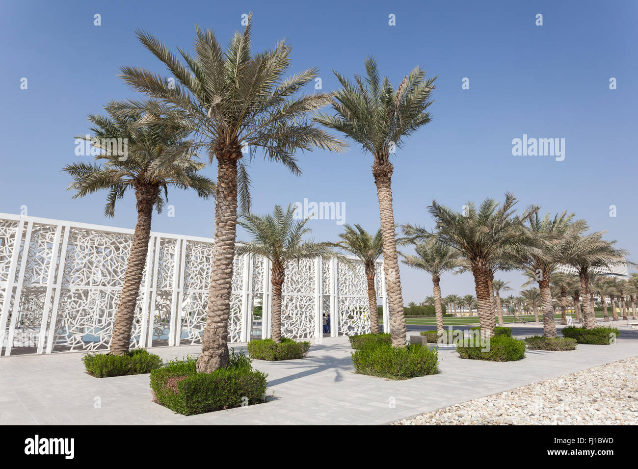 Palm trees in Doha, Qatar Stock Photo