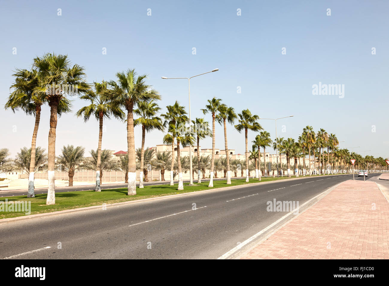 Alley with palm trees in Doha, Qatar Stock Photo Alamy