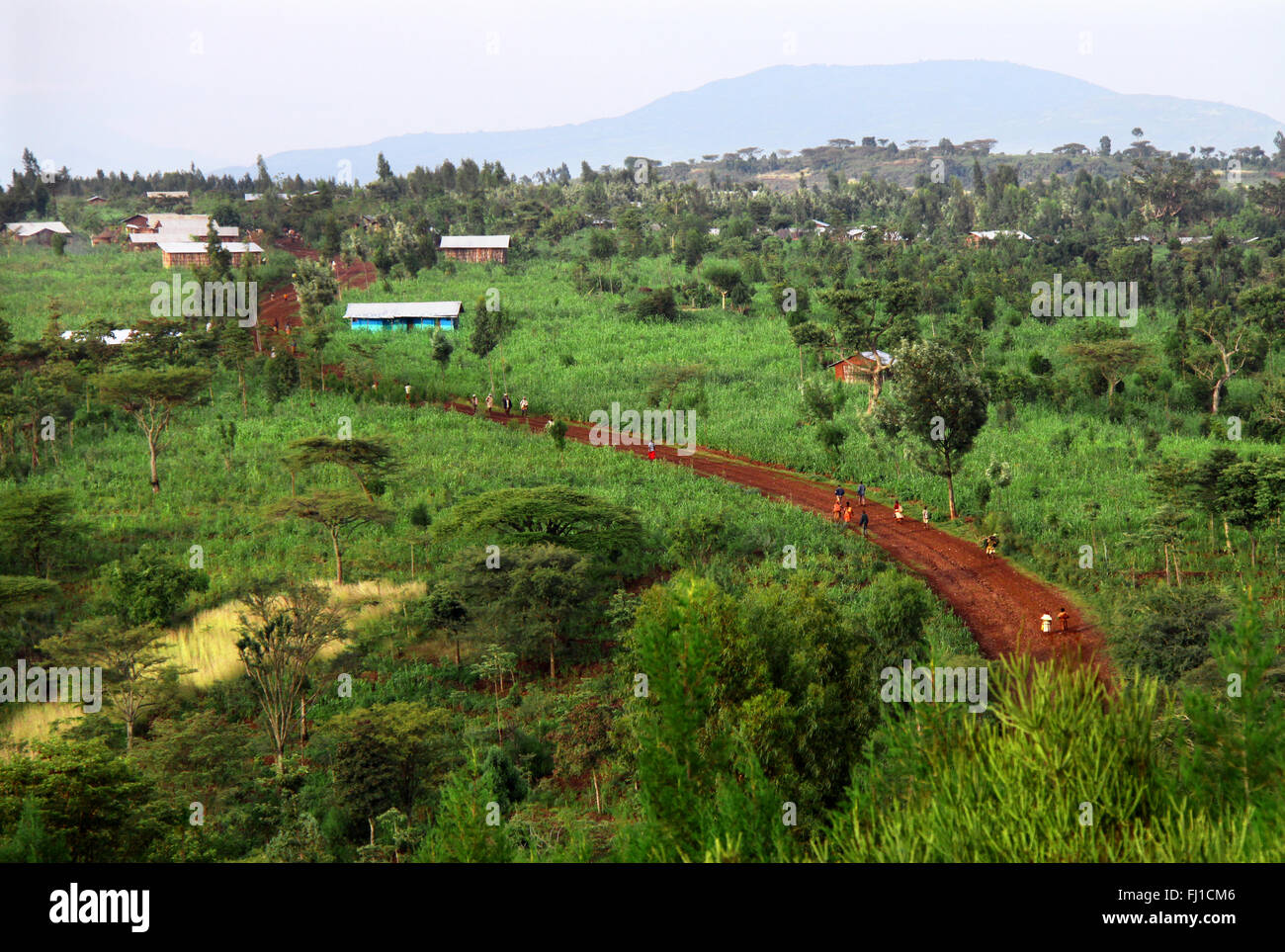 Coffee plantations - Landscape in Ethiopia near Konso village Stock Photo