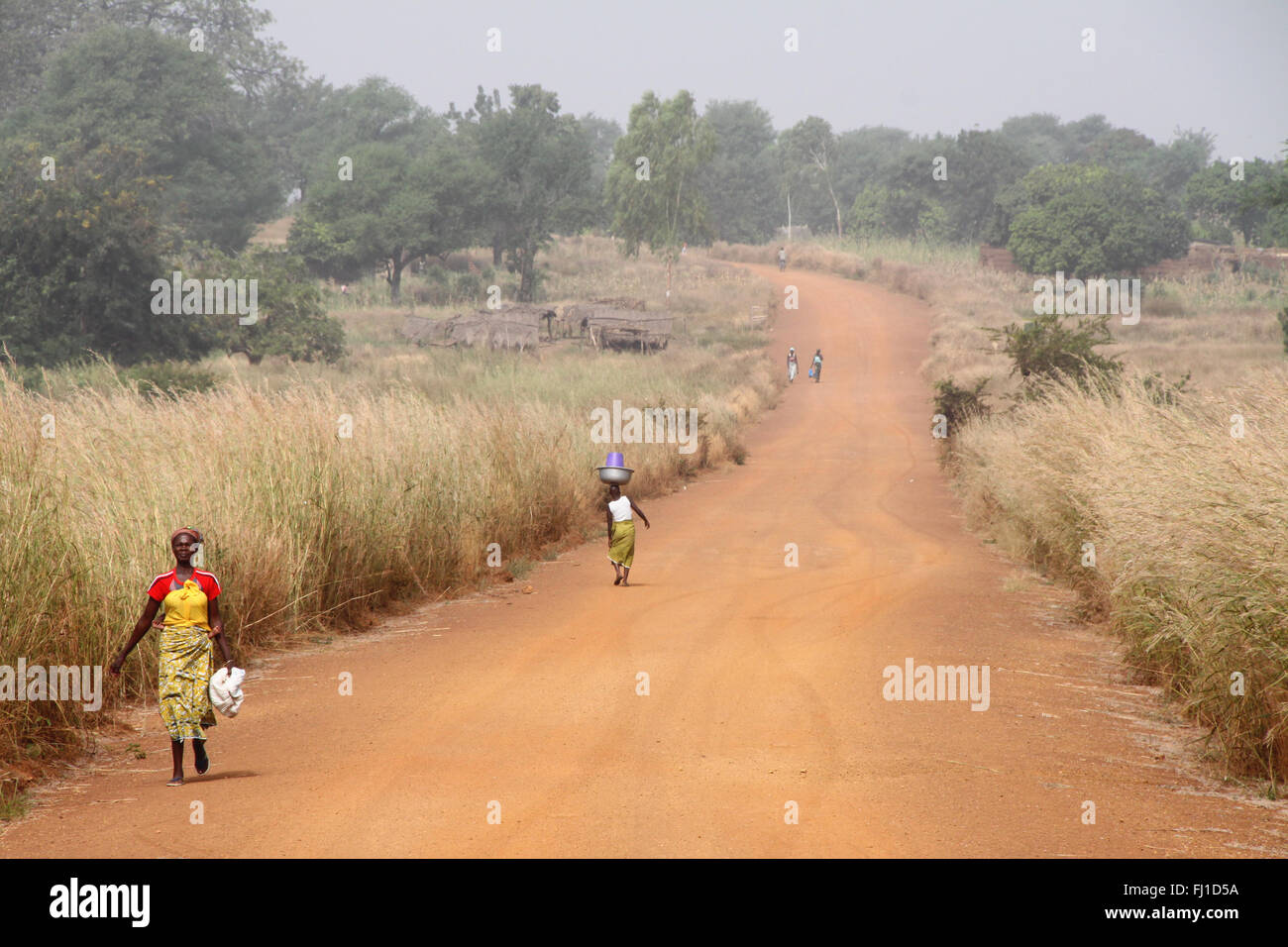 Typical landscape of Burkina Faso between Bobo Dioulasso and banfora - bush area Stock Photo
