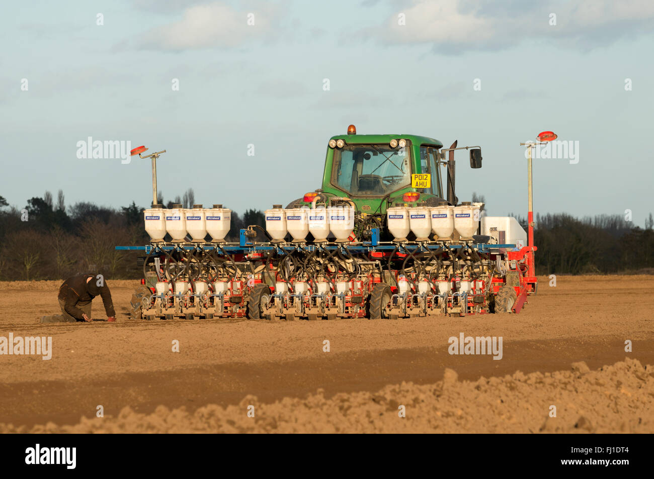 Farmworker checking the soil for number of seeds during drilling a carrot crop, Alderton, Suffolk, UK. Stock Photo