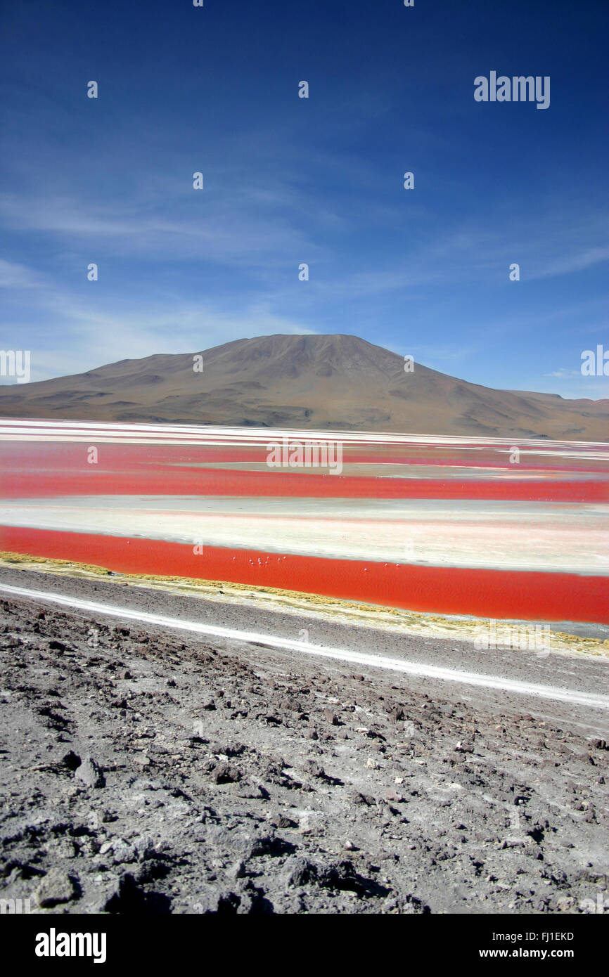 Landscape : Laguna Colorada in Bolivia Stock Photo
