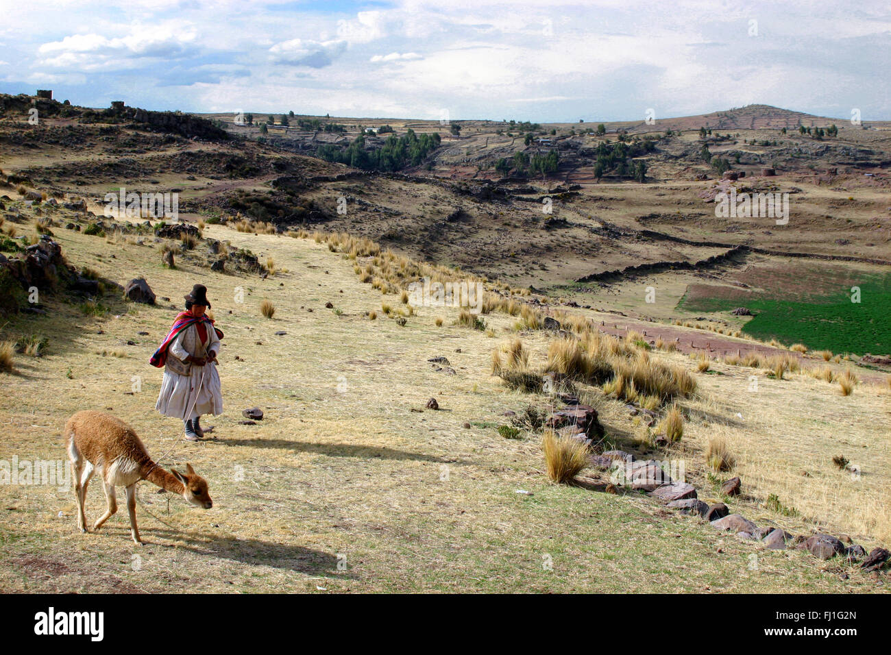 Landscape of Peru : site of Sillustani Stock Photo