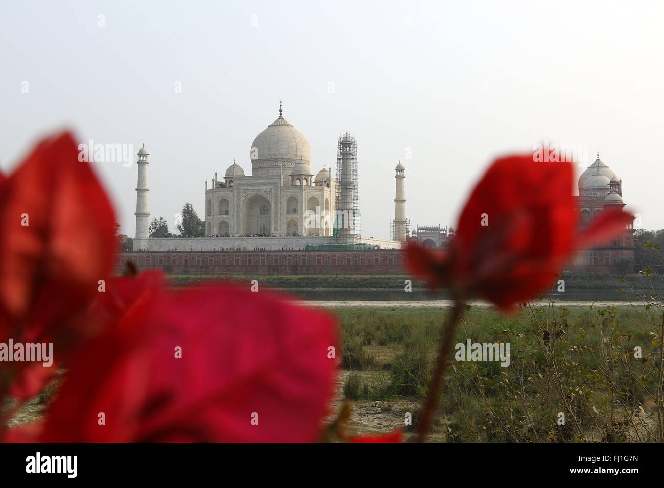 This is the back of the Taj Mahal from the opposite side of the Yamuna River Agra, India Photo by Palash Khan Stock Photo