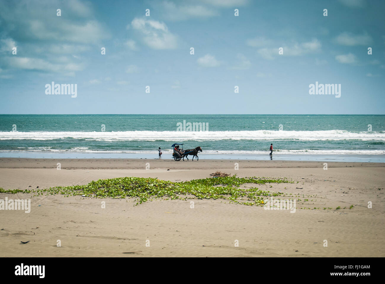 Tourists taking a ride in a horse-drawn carriage on Parangtritis Beach, Central Java, Indonesia. Stock Photo