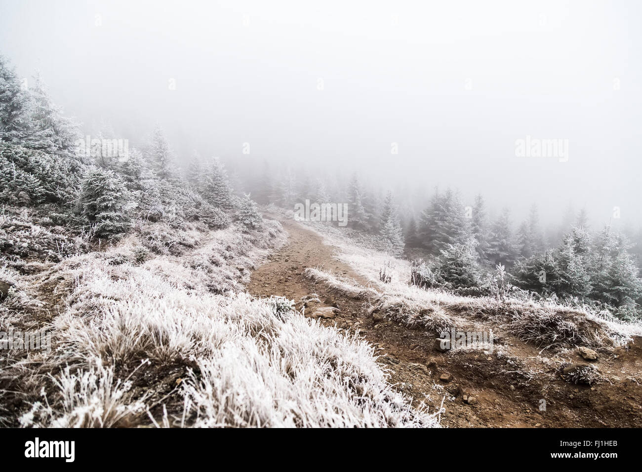 Mountain path with snow and fog Stock Photo - Alamy