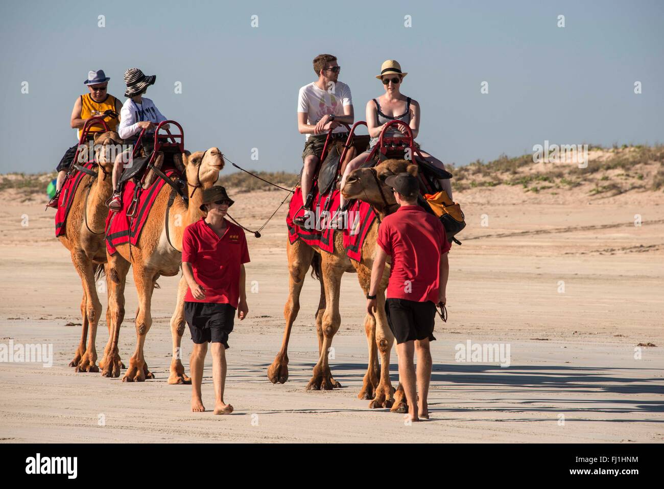 Camel handler hi-res stock photography and images - Alamy