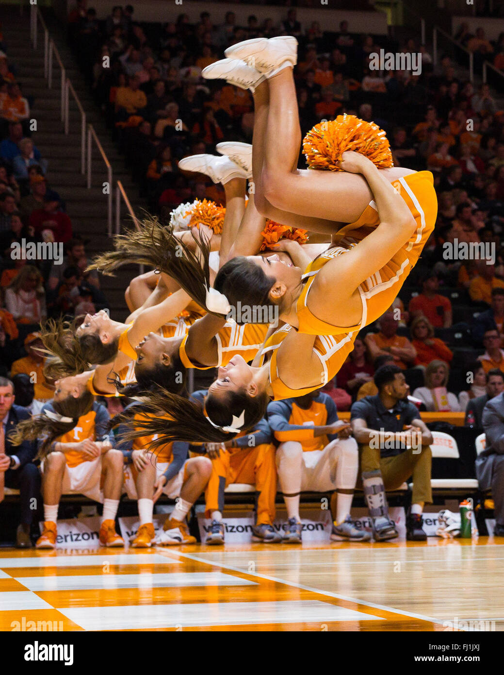 February 27, 2016: Tennessee Volunteers cheerleaders during the NCAA basketball game between the University of Tennessee Volunteers and the University of Arkansas Razorbacks at Thompson Boling Arena in Knoxville TN Tim Gangloff/CSM Stock Photo