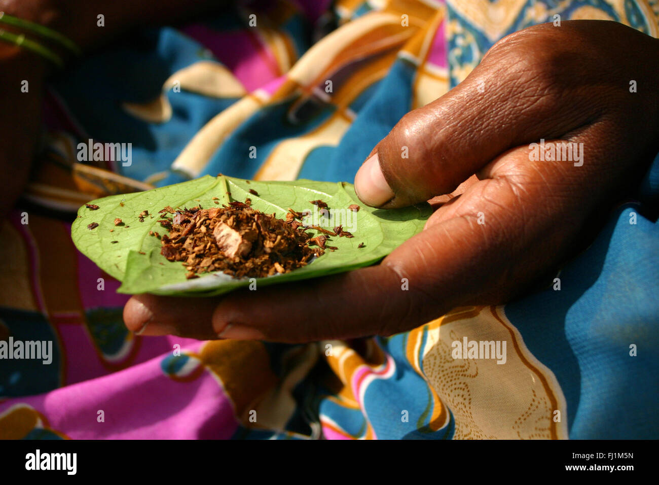 the smoke that comes from burning tobacco How Smoking Causes Lung Cancer