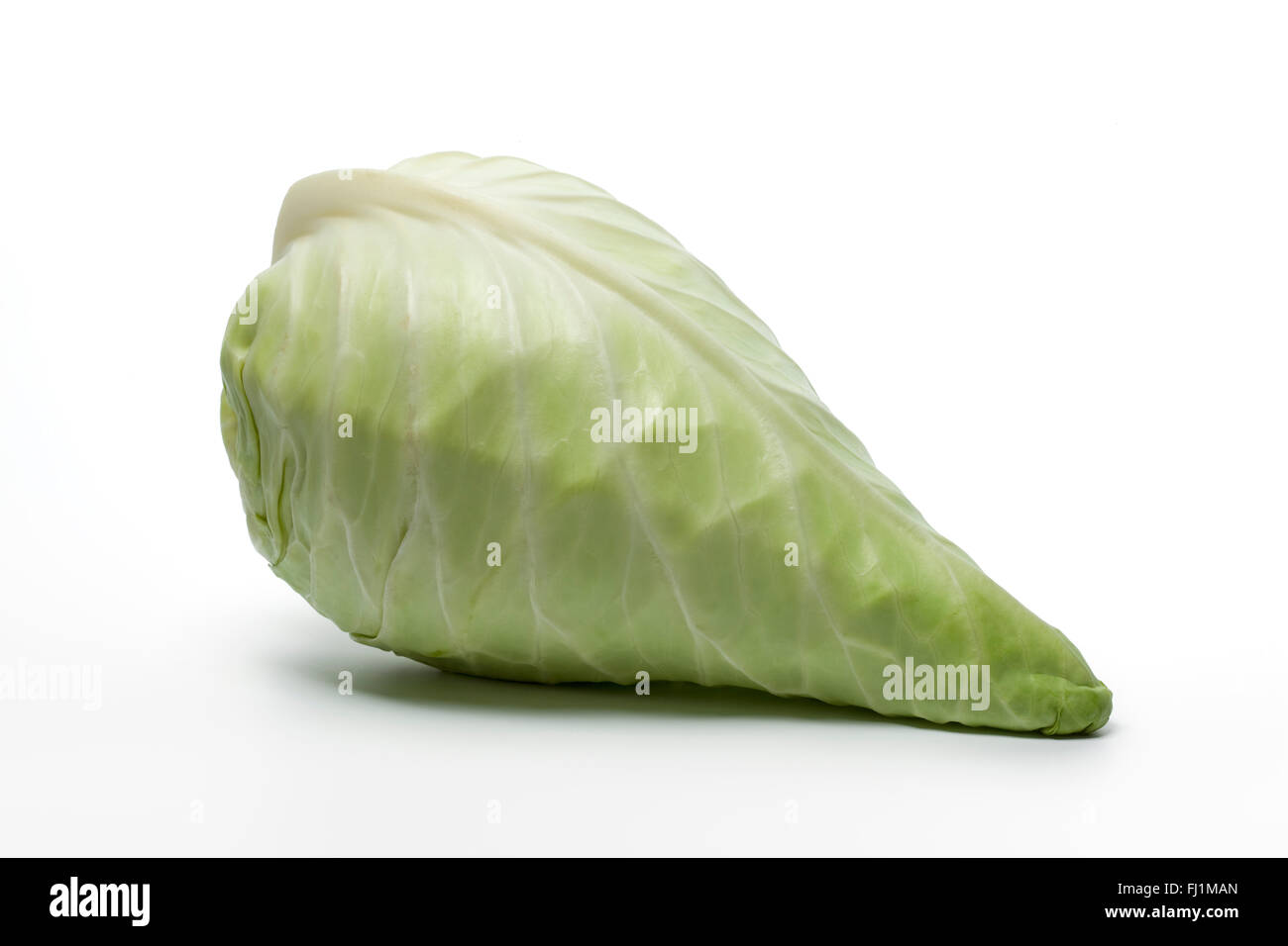 Fresh whole raw pointed cabbage on white background Stock Photo Alamy