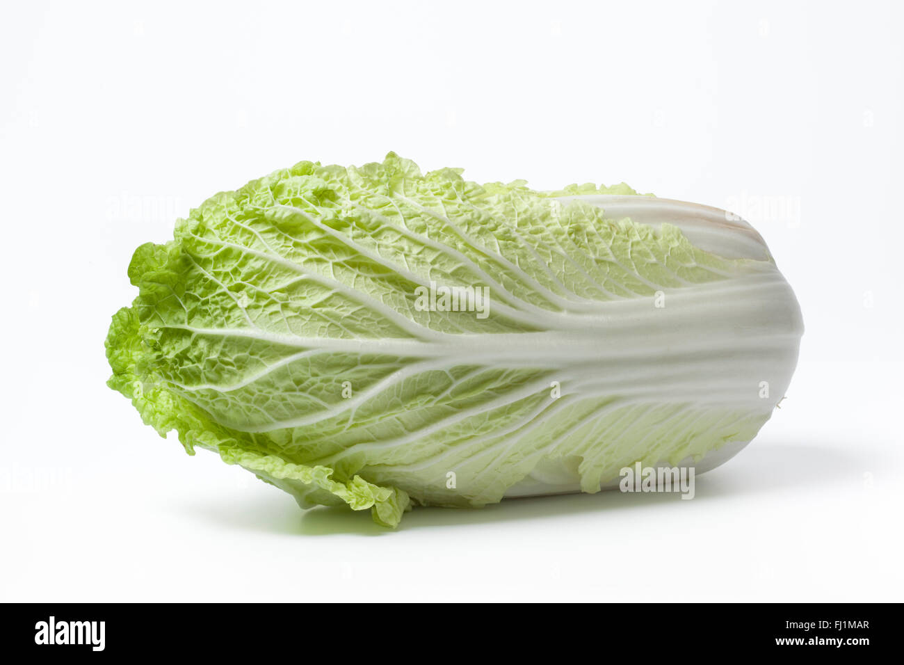 Fresh whole raw Chinese cabbage on white background Stock Photo