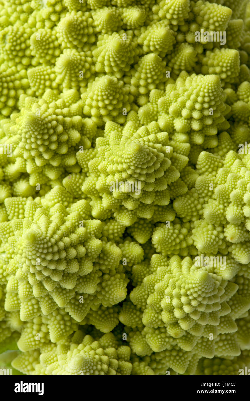 Fresh raw Romanesco Cauliflower full frame Stock Photo