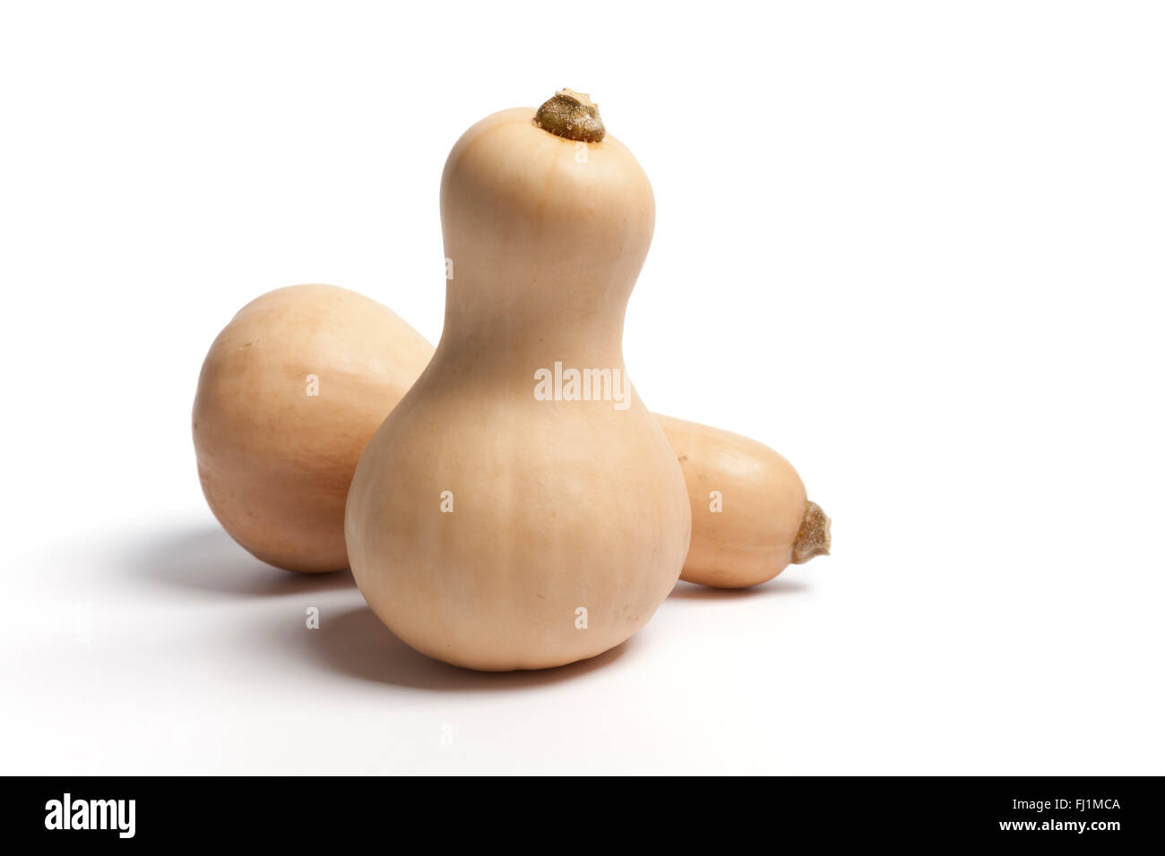 Two fresh whole butternut pumpkins on white background Stock Photo