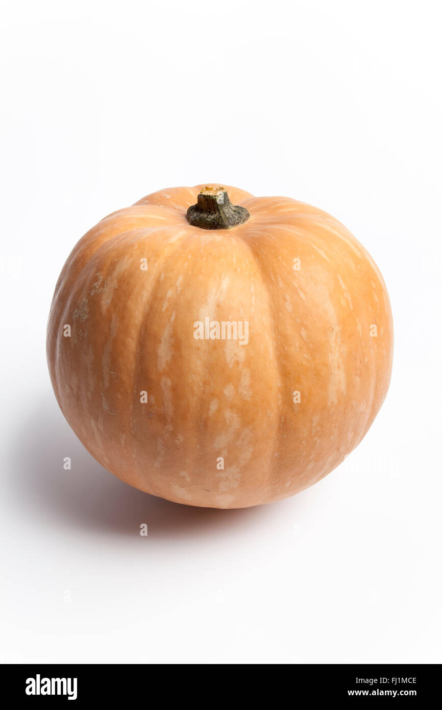 Fresh whole orange pumpkin on white background Stock Photo - Alamy