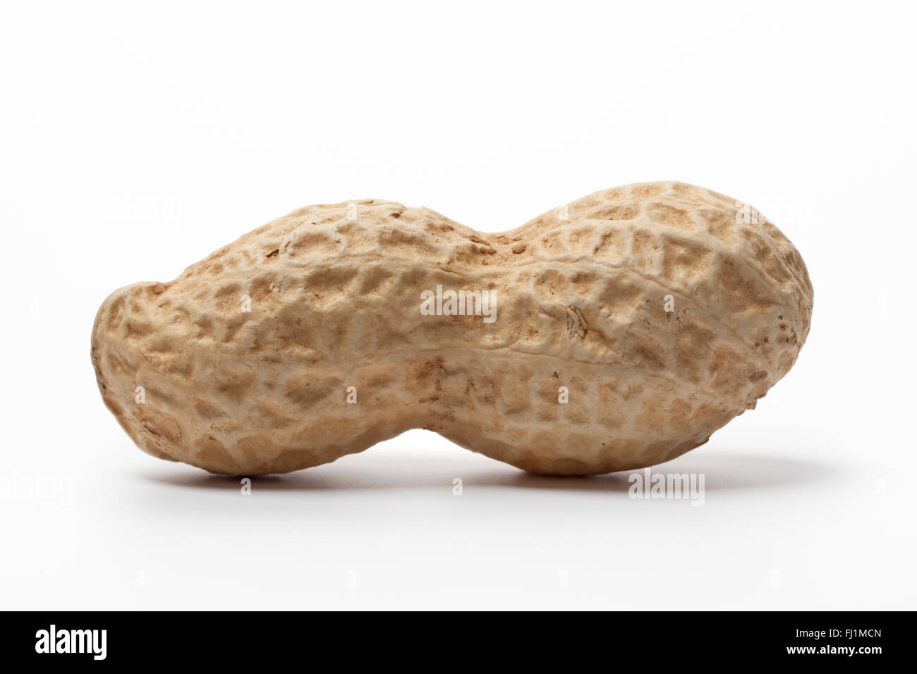 Whole single Peanut on white background Stock Photo