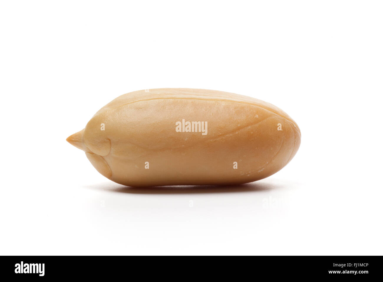 Single whole peeled peanut on white background Stock Photo