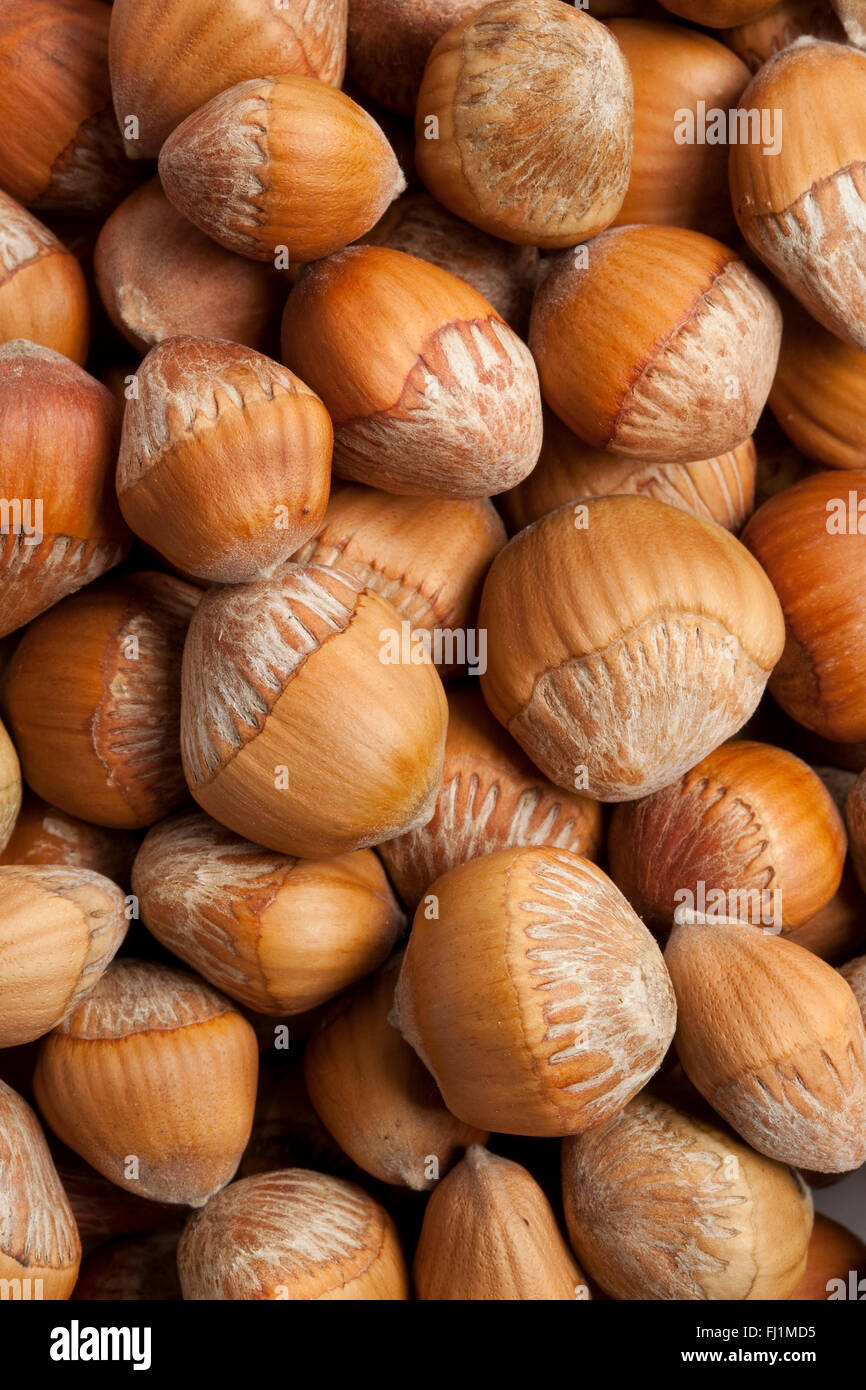 Fresh hazelnuts full frame Stock Photo