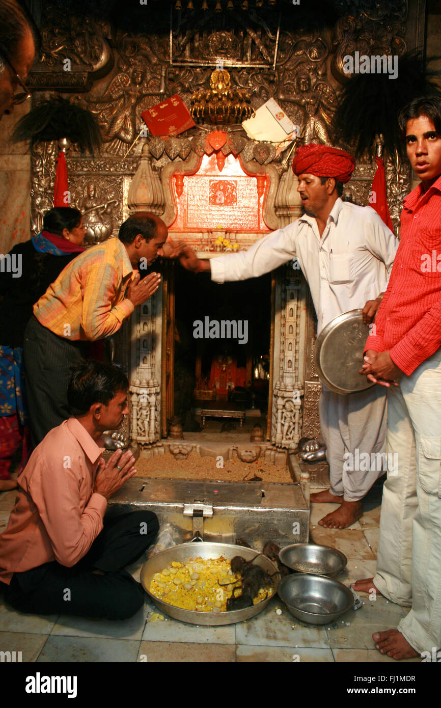 People praying inside sanctuary of Karni Mata Temple (rats temple) , Bikaner, Rajasthan, Inde Stock Photo