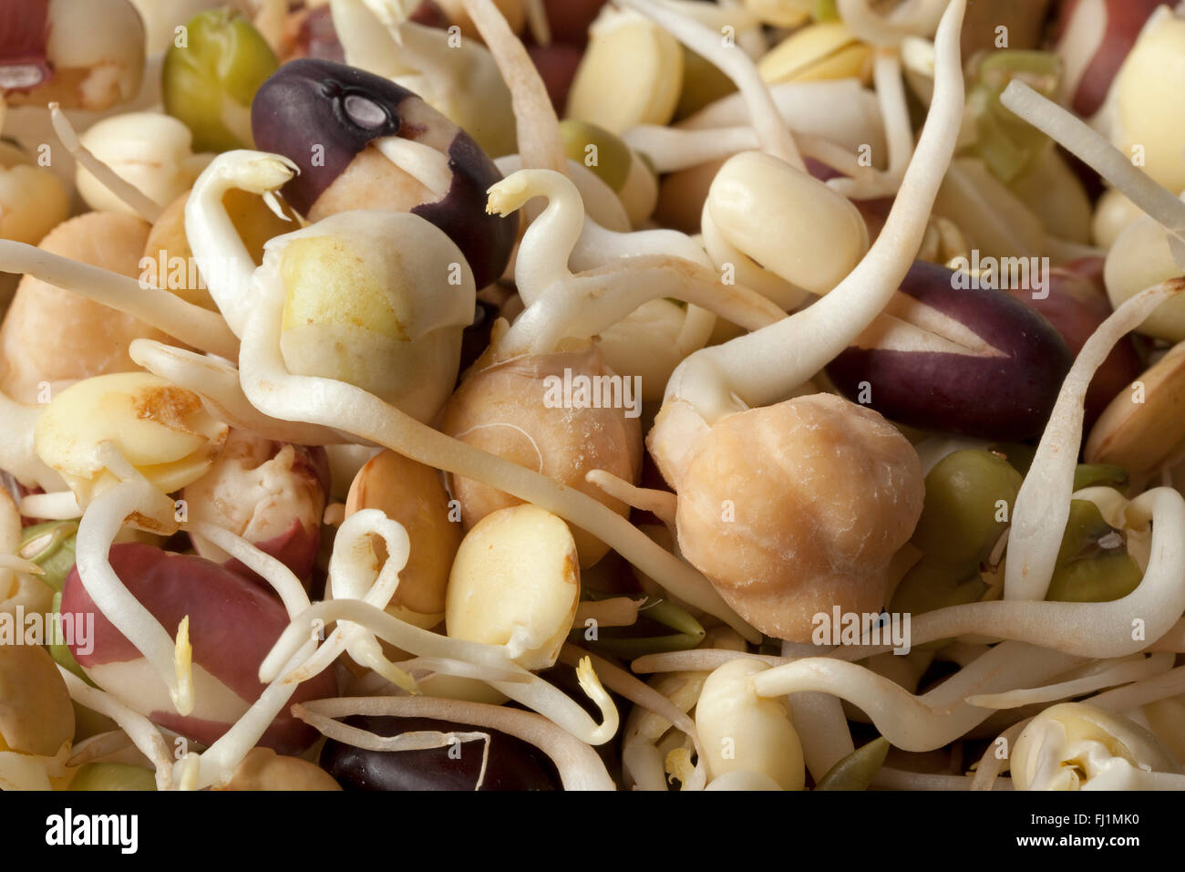 Fresh raw different sprouts close up full frame Stock Photo