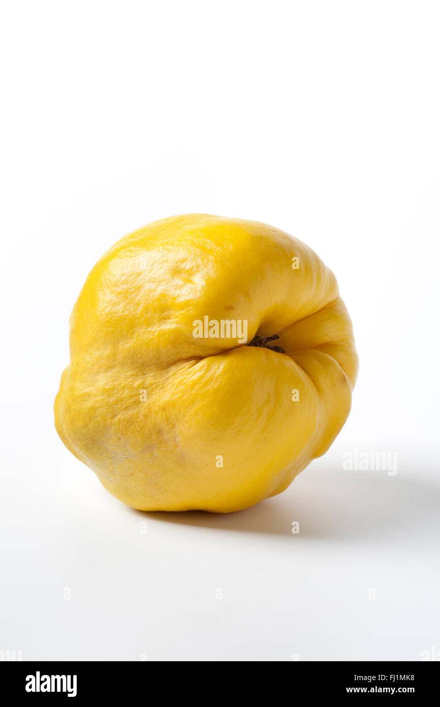 Fresh single yellow quince on white background Stock Photo