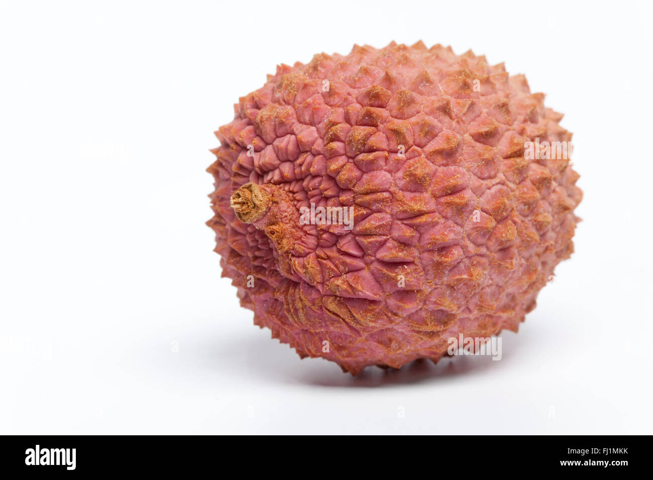 One fresh lychee close up on white background Stock Photo